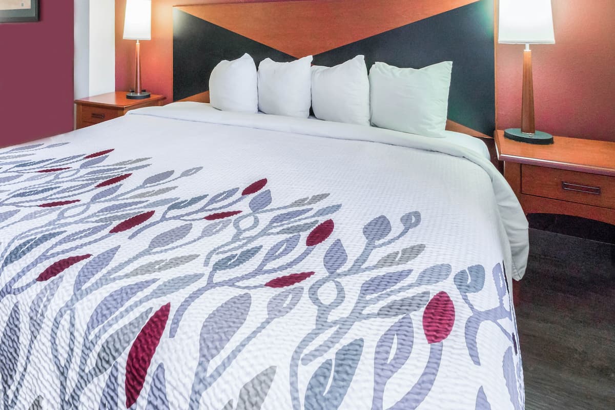 Blackout drapes, iron/ironing board, free WiFi, bed sheets
