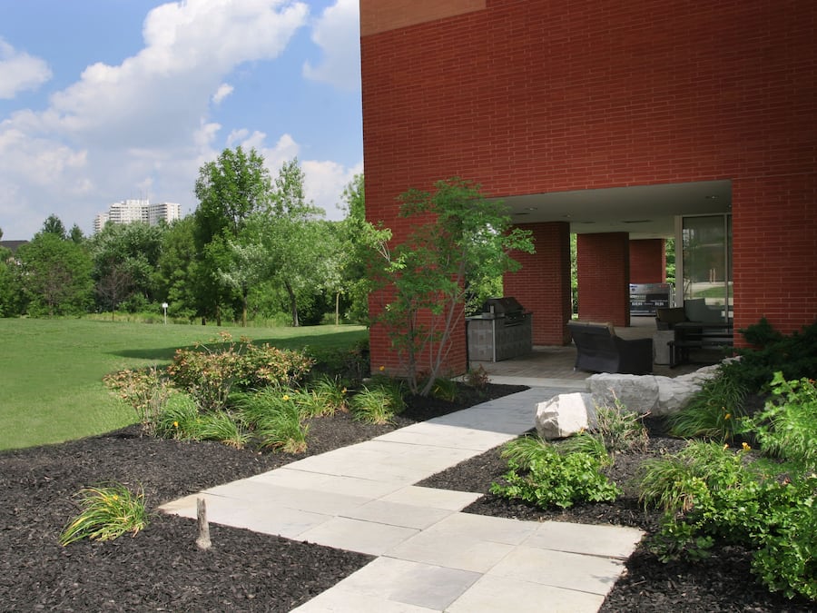 Vista desde la propiedad