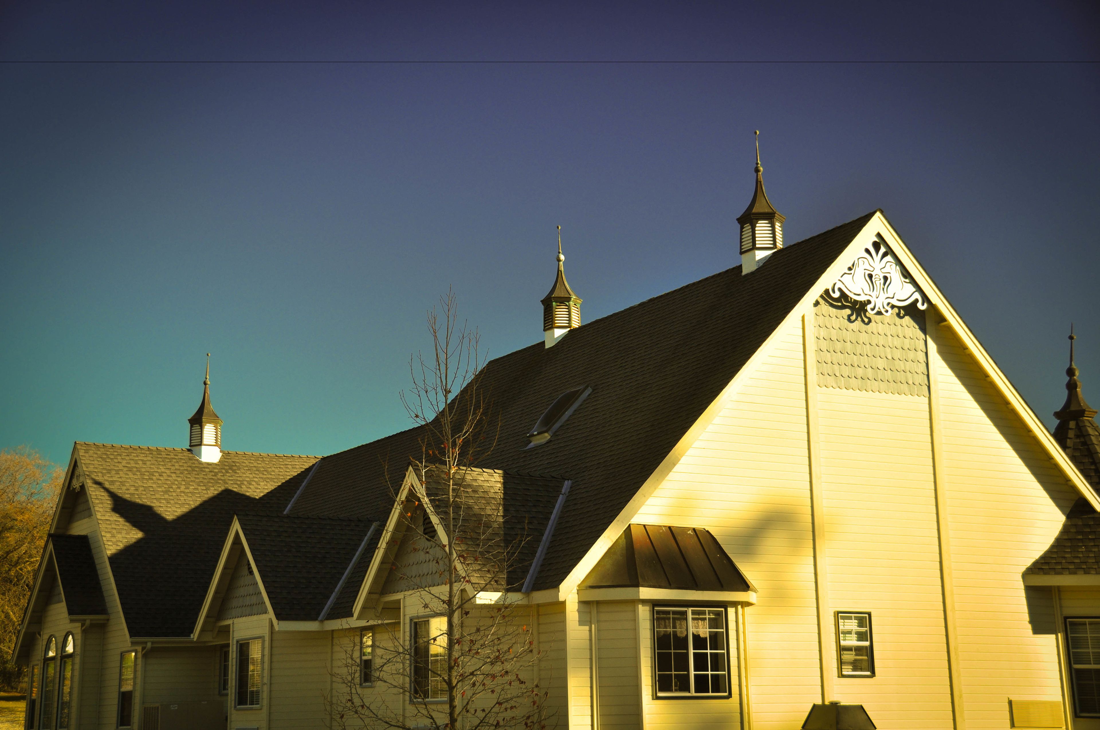 Foto - Hounds Tooth Inn