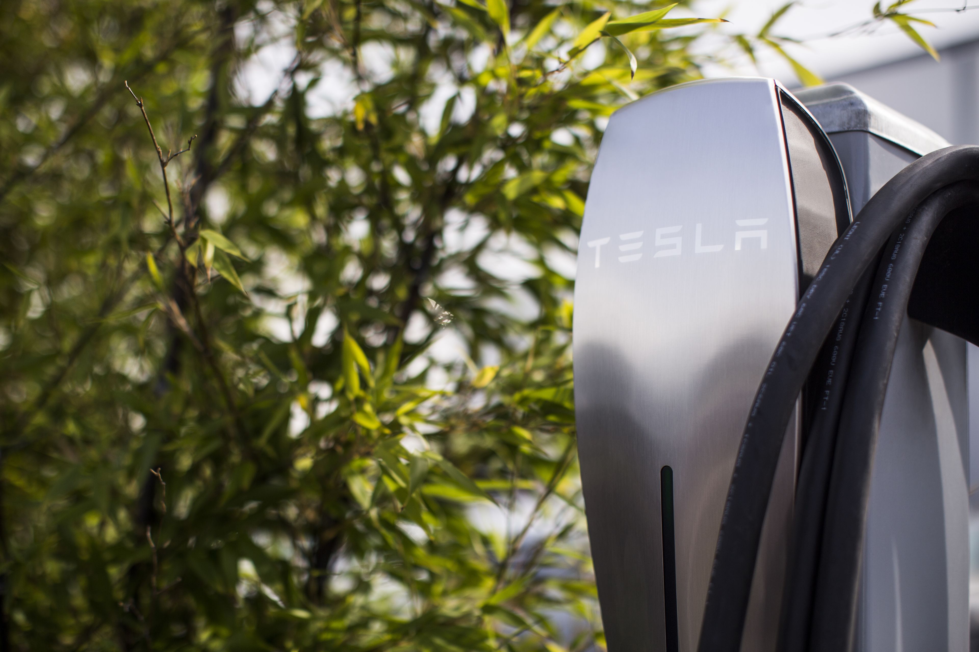 Foto - Hounds Tooth Inn