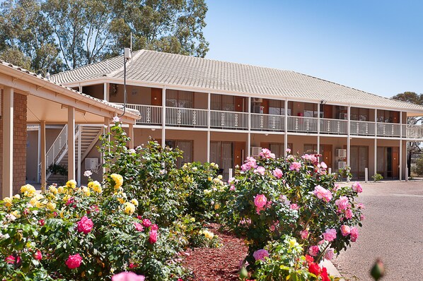 Suite, Multiple Beds (Accessible) | Garden view - The Standpipe Golf Motor Inn (Port Augusta West)