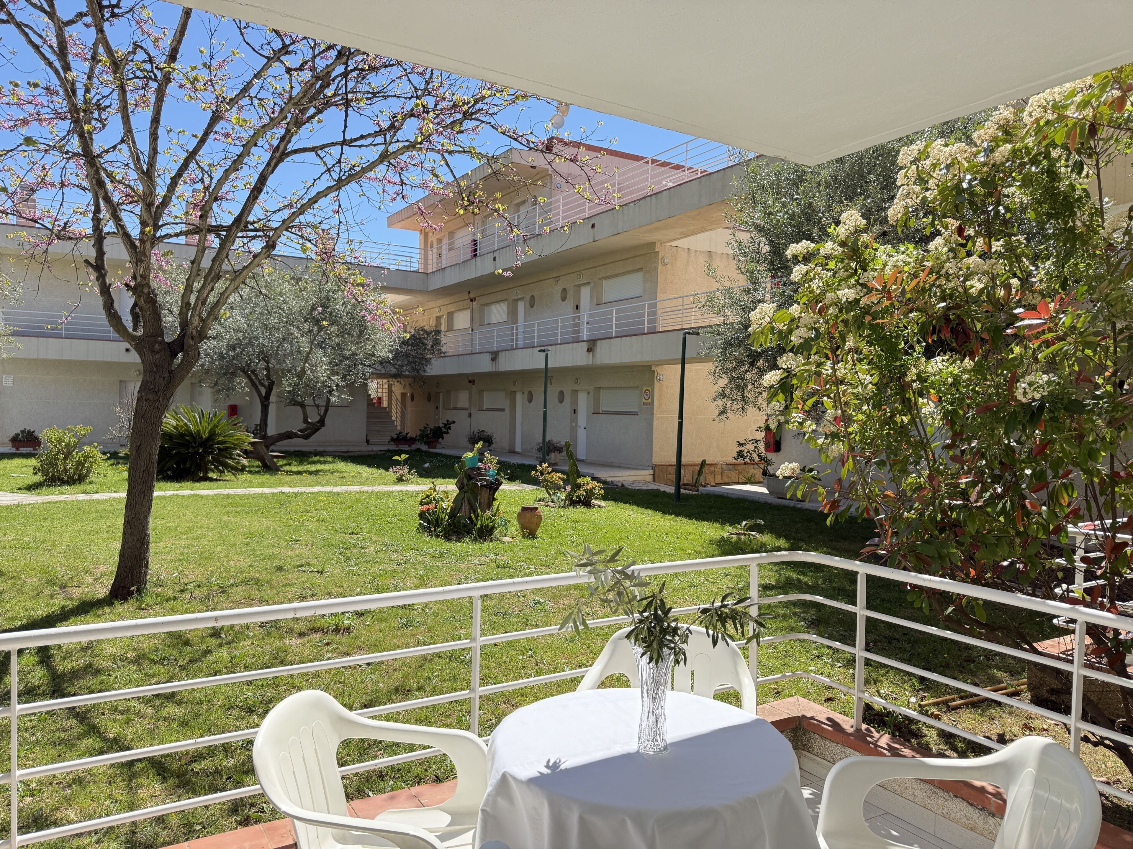 A courtyard with a white table, chairs, and a small tree.