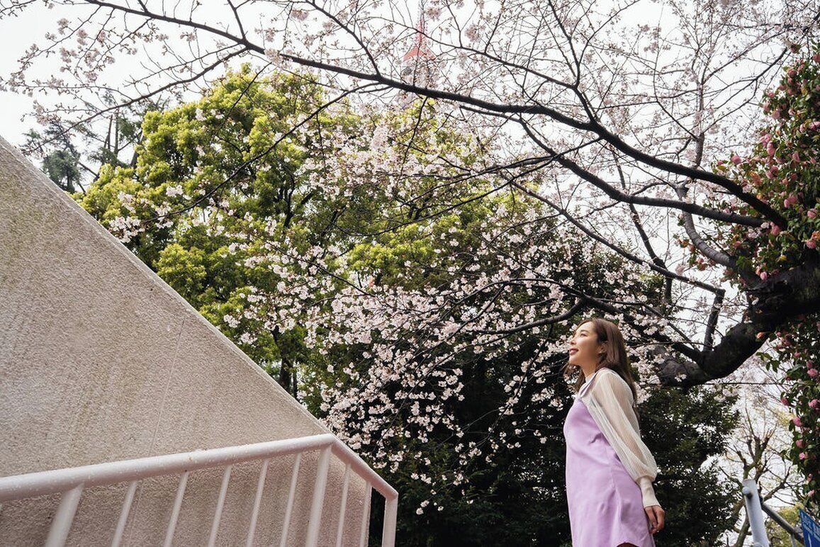 A person standing on a balcony with a view of cherry blossoms.