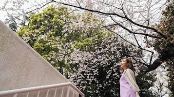 A person standing on a balcony with a view of cherry blossoms.