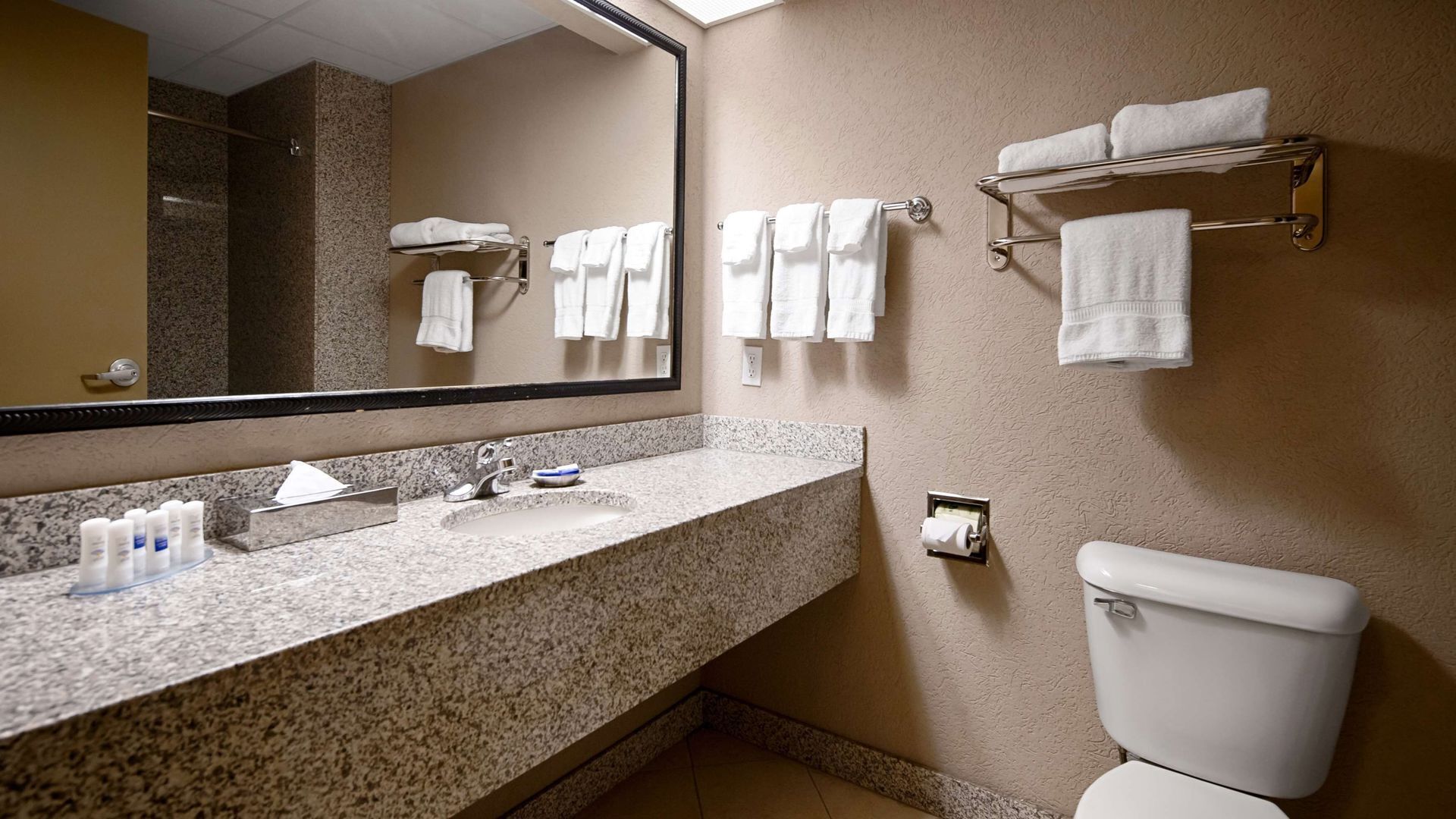 Bathroom | Combined shower/tub, free toiletries, hair dryer, towels