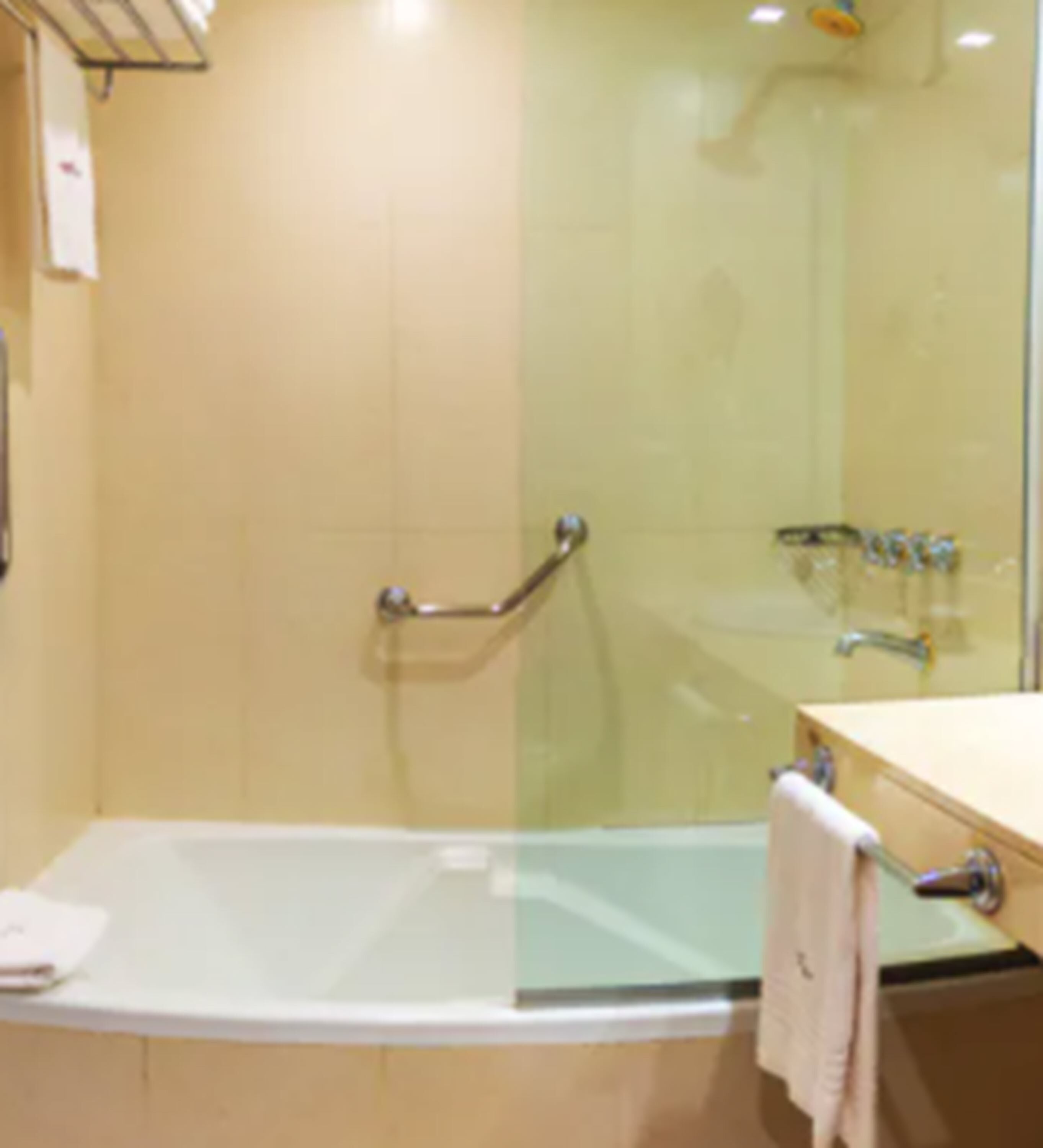 combined shower/bathtub, free toiletries, hair dryer, towels