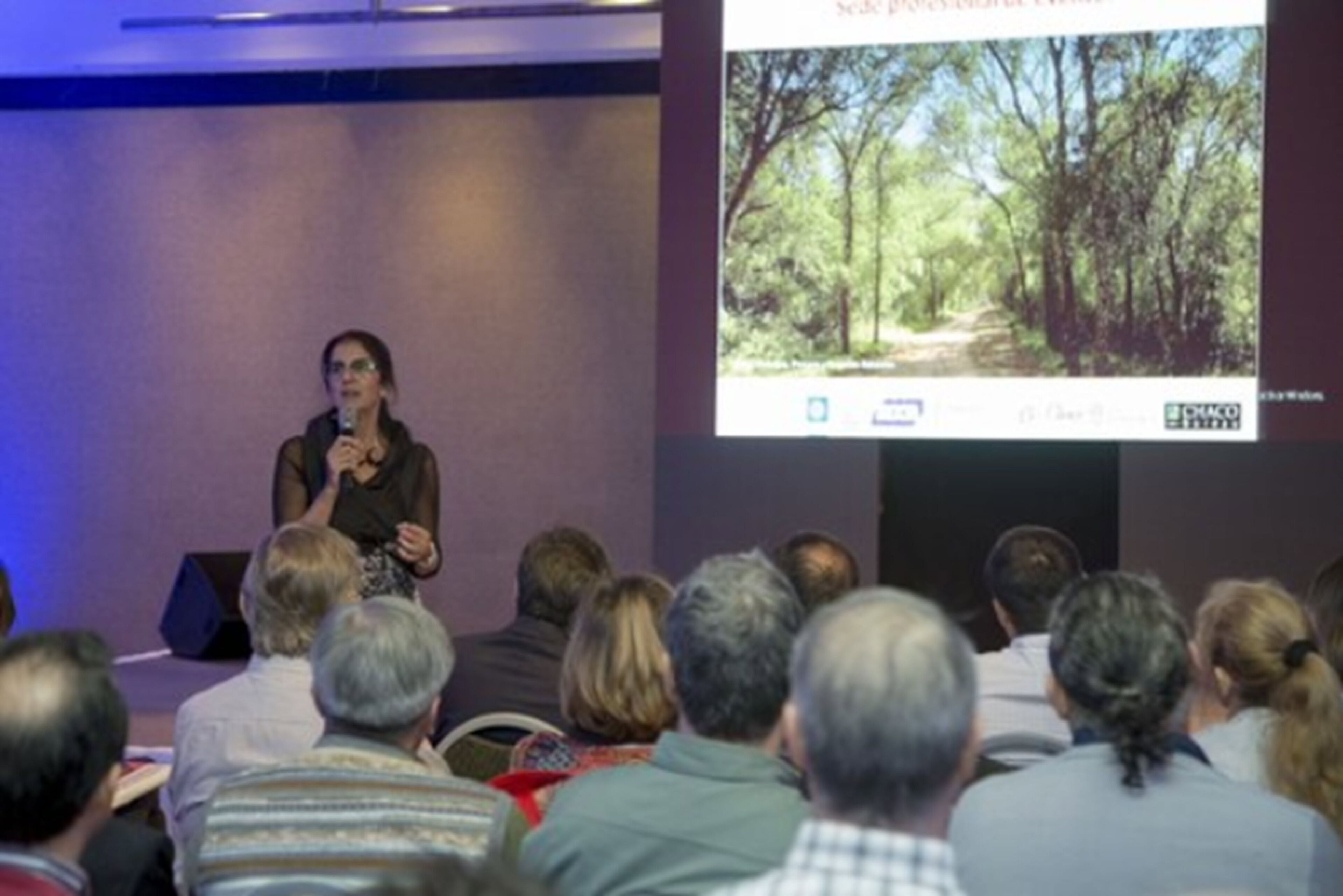 A conference room with a presentation screen displaying a forest scene.