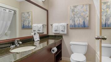 A bathroom with a sink, mirror, toilet, and two wall-mounted paintings.