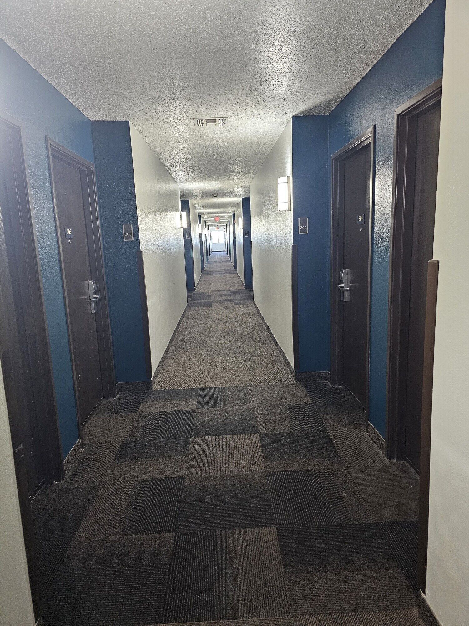 A hotel hallway with carpeted floors, blue walls, and doors numbered 203 and 204.