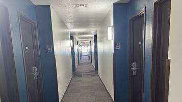 A hotel hallway with carpeted floors, blue walls, and doors numbered 203 and 204.