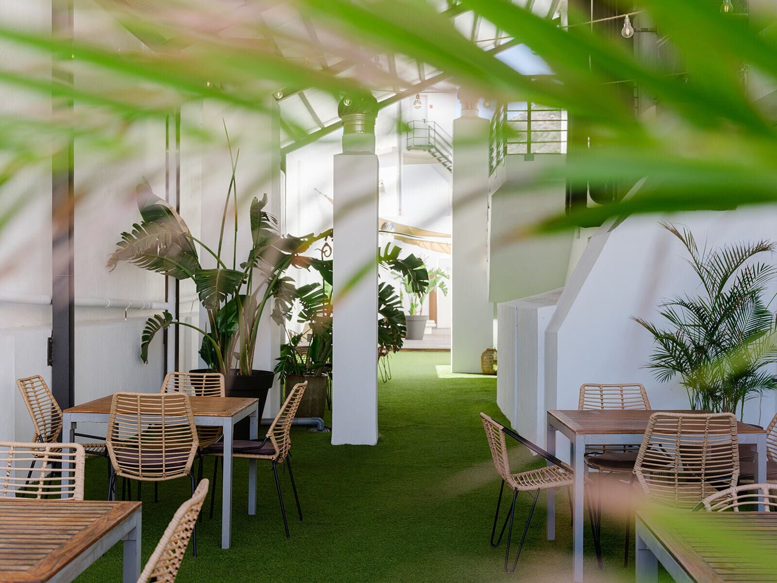A modern indoor space with a green artificial grass floor, white walls, and natural light. There are wicker chairs and tables arranged for dining.