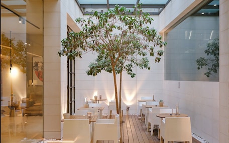 A modern indoor patio with wooden flooring, white furniture, and a central tree.