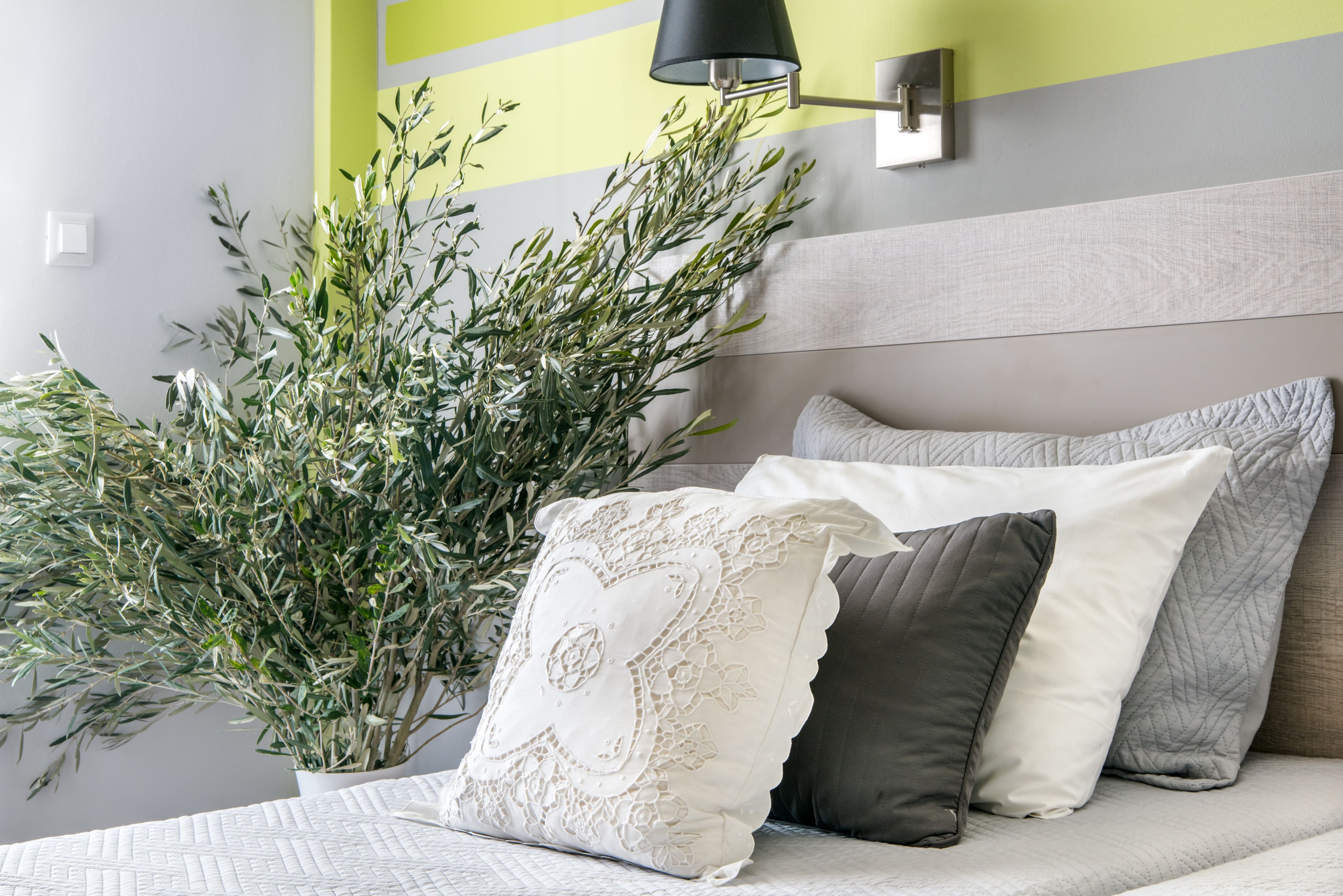 Un dormitorio ordenado con cama, almohadones decorativos, una planta en maceta y una lámpara de pared.