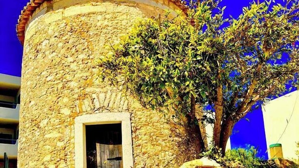 Edifício de pedra com estrutura circular, uma porta e parede de pedra coberta por vegetação.