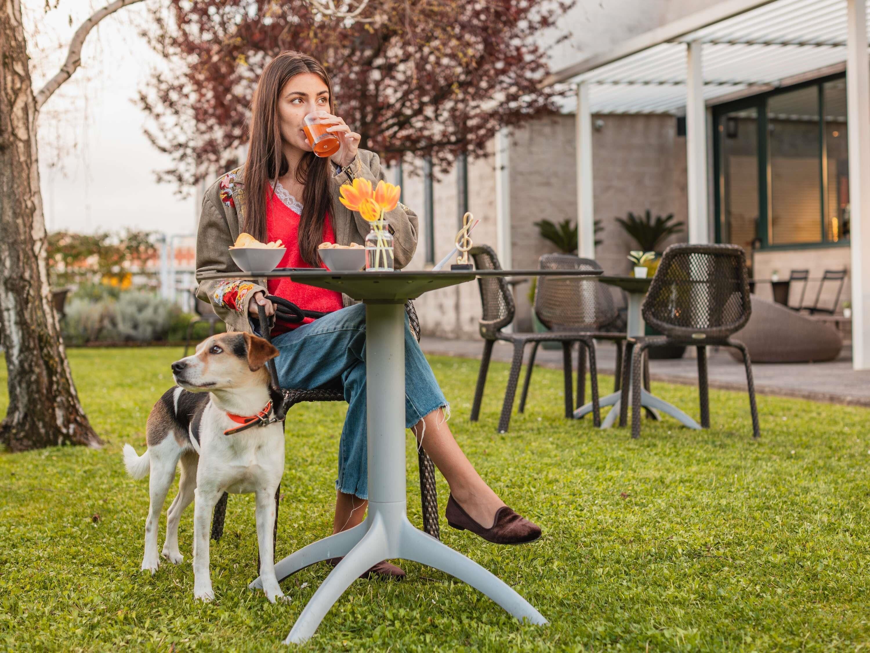 A person sitting at an outdoor table with a dog, a glass of drink, and a small plant on the table.