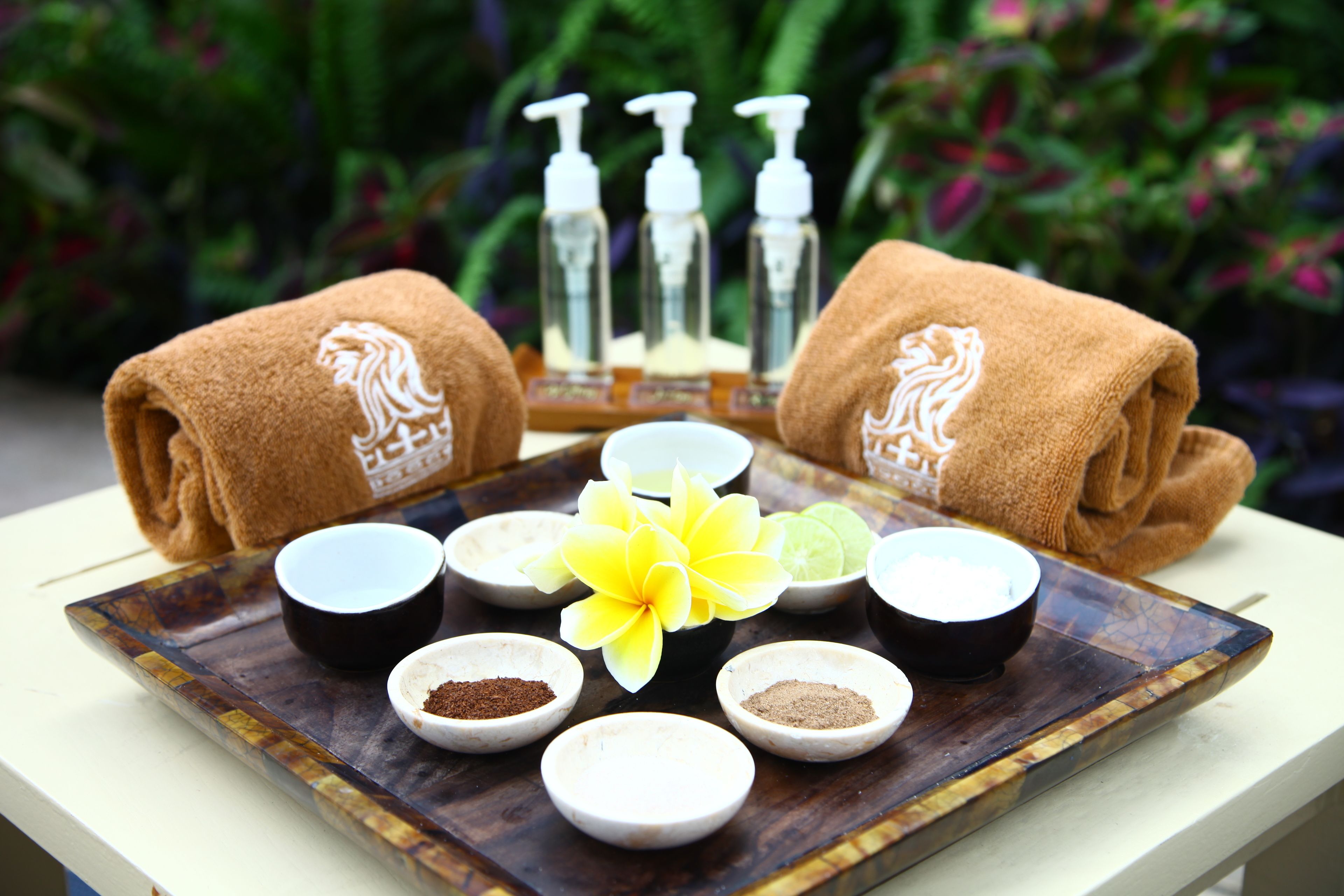 Bandeja con diversos productos de spa y una flor amarilla, rodeada de toallas enrolladas con un diseño de león.