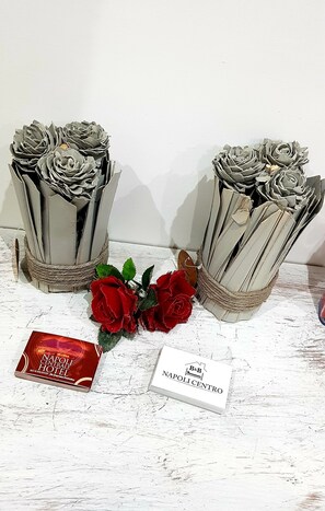 منطقة الاستقبال