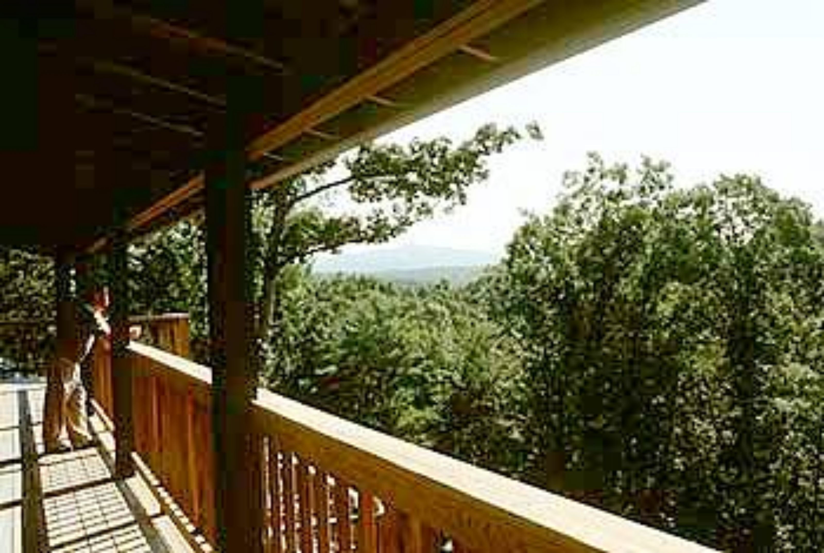 A wooden balcony with a view of dense green trees and a mountain in the distance.