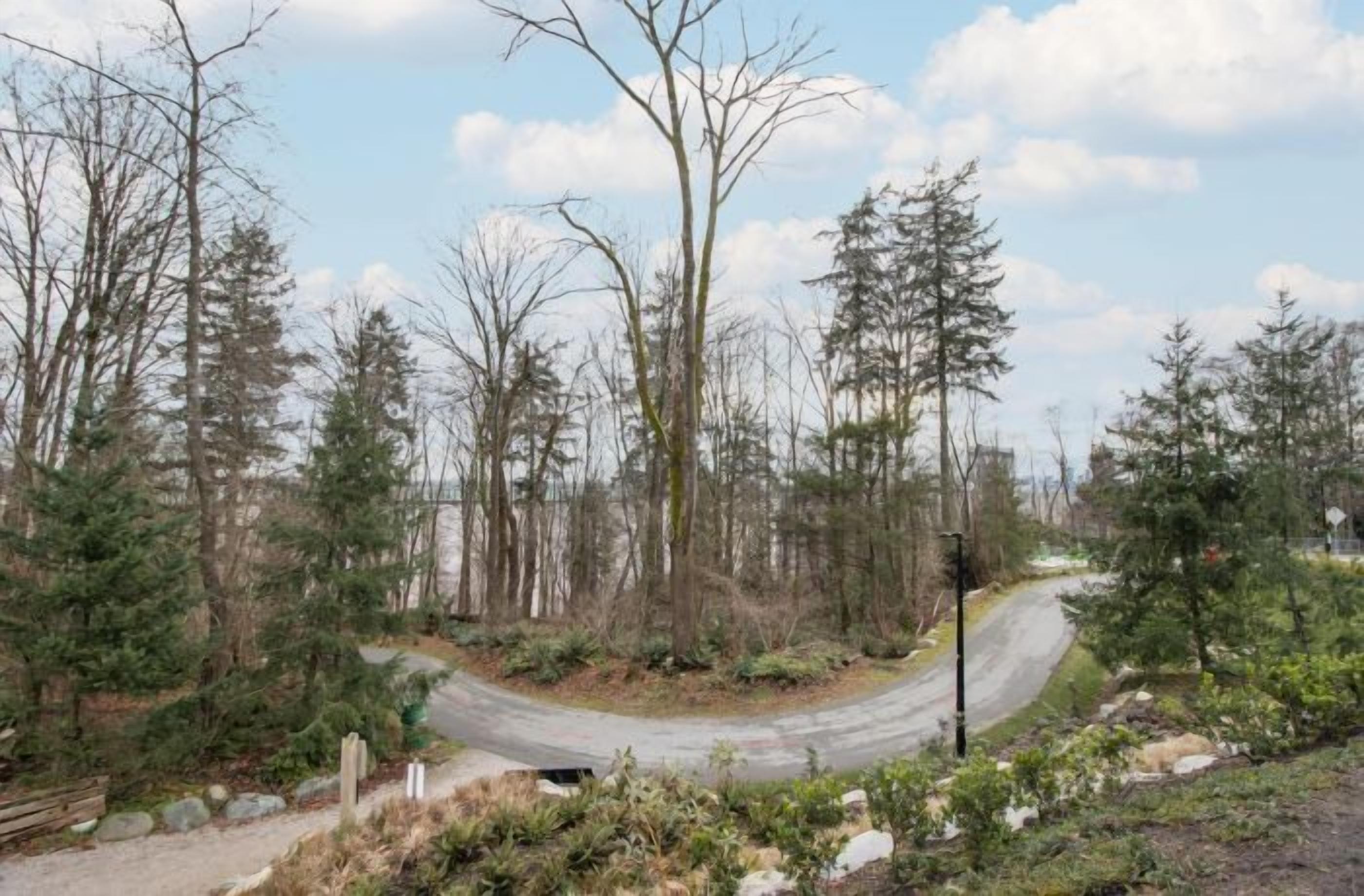 A winding road through a forested area with bare trees and a clear sky.