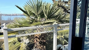 A balcony with a view of a city skyline, palm trees, and a patterned rug. - Ocean Breeze B&B (North Vancouver)
