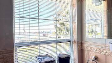 A bathroom with a sink, a mirror, and a window with blinds.
