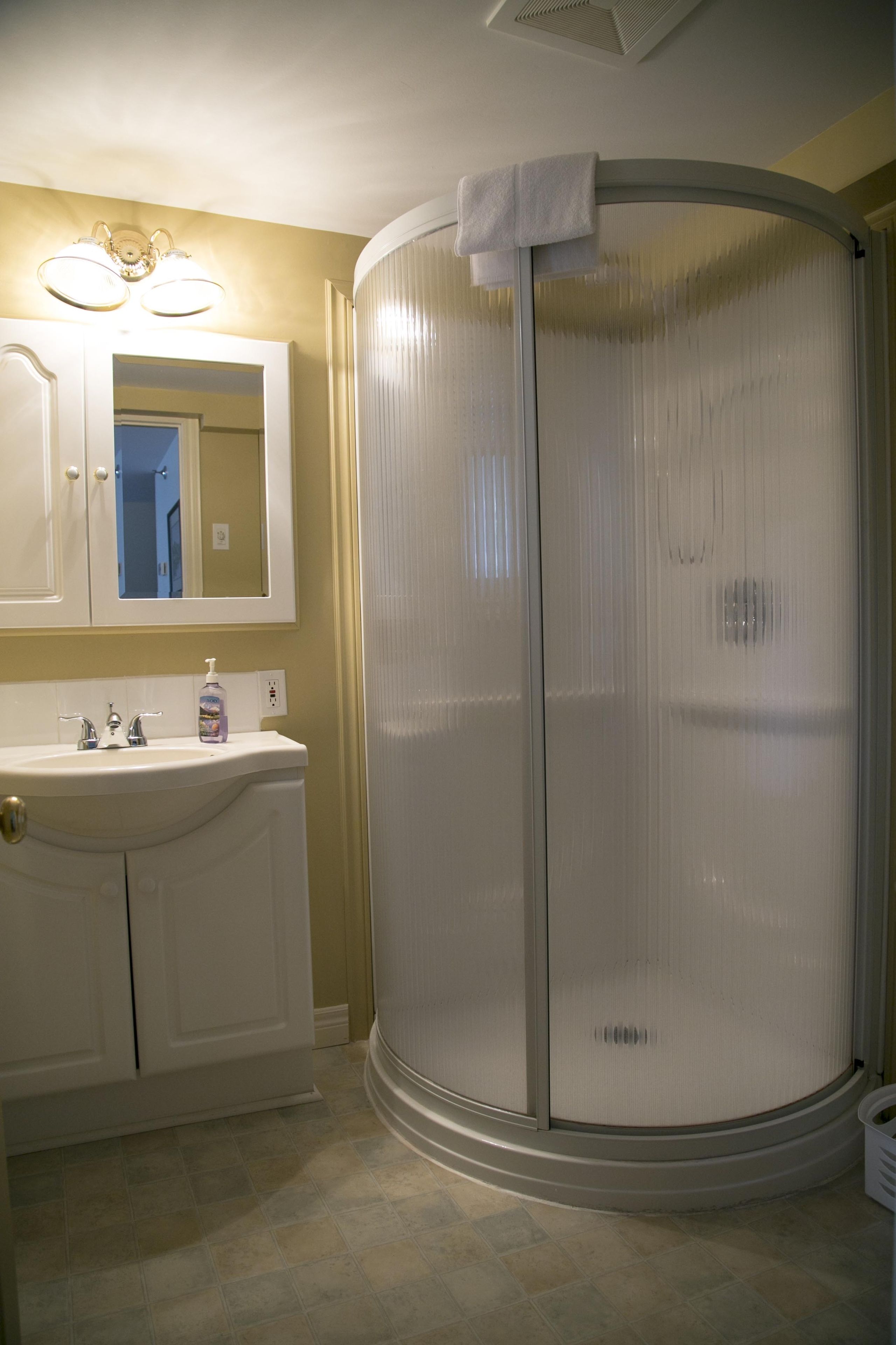 Baño con lavamanos, espejo y cabina de ducha.