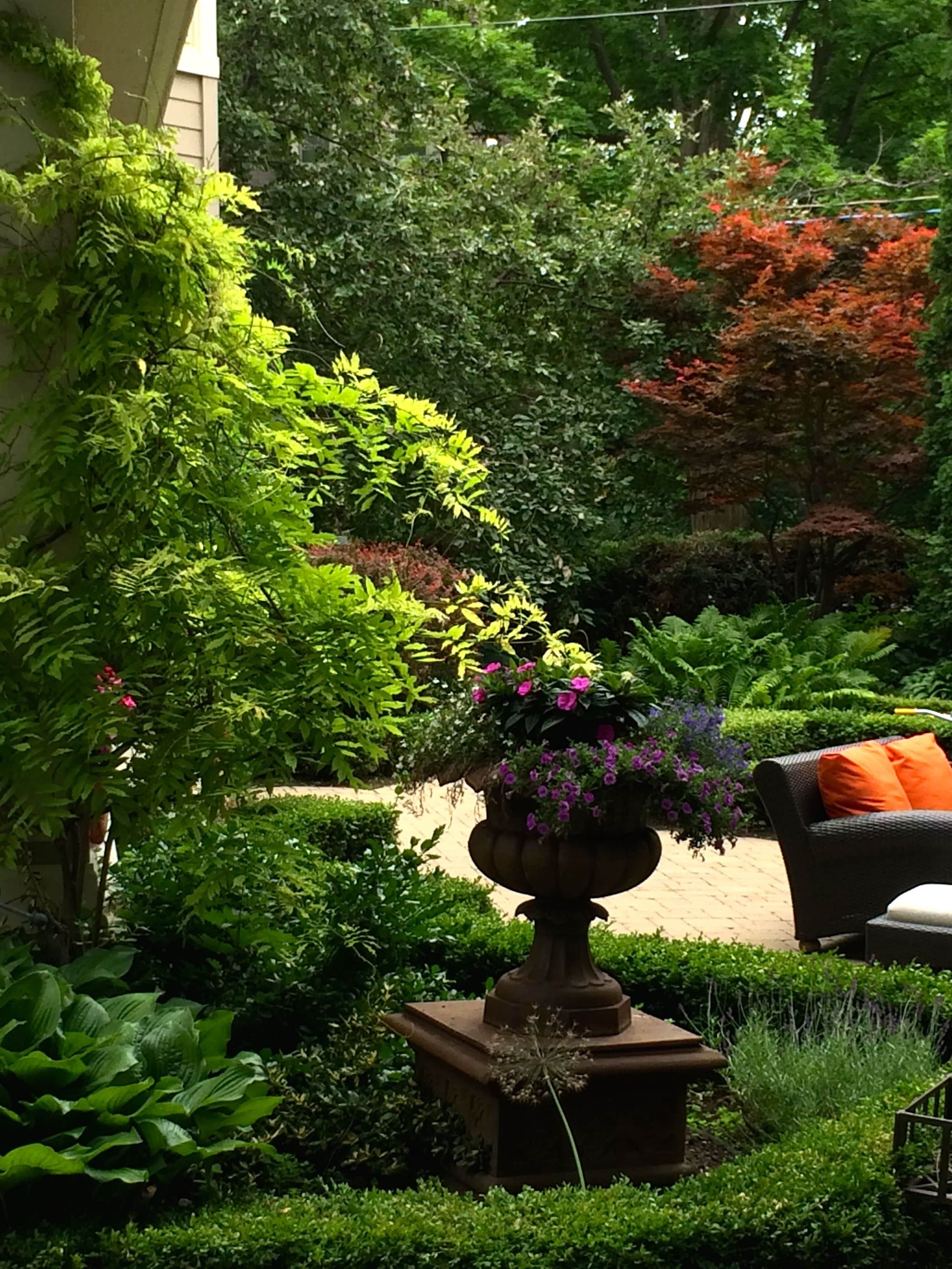 Um jardim com diversas plantas e um grande vaso com flores.