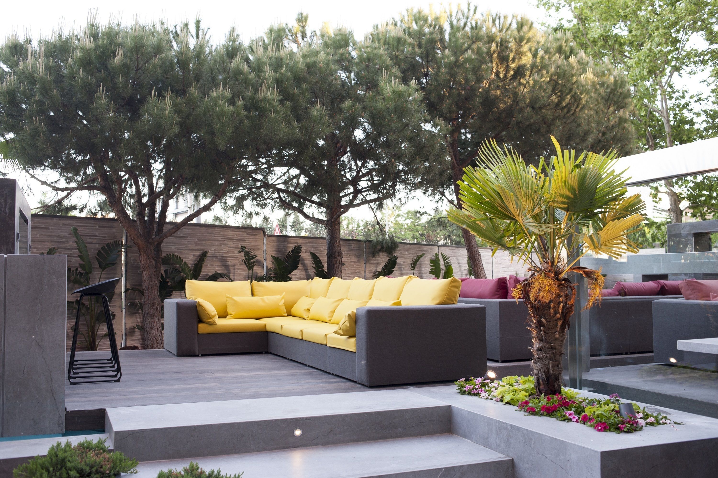 Un espacio al aire libre con un sofá amarillo, una palmera y un banco de piedra.