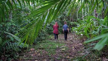 Un sendero estrecho en un bosque, flanqueado por una vegetación densa.