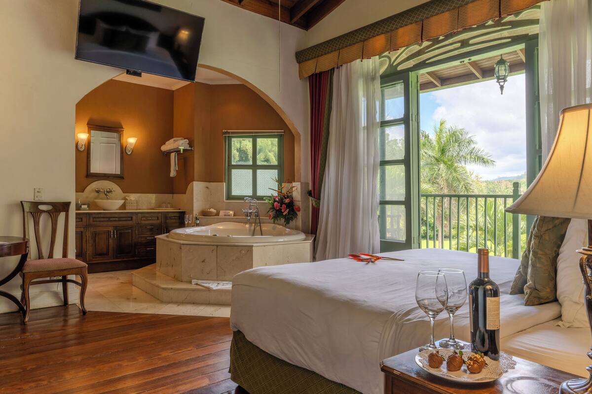 A bedroom with a large bed, a sitting area with a chair, a bathtub, and a view of the outdoors.
