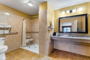 Hair dryer, towels - Best Western Executive Inn (Hallettsville)
