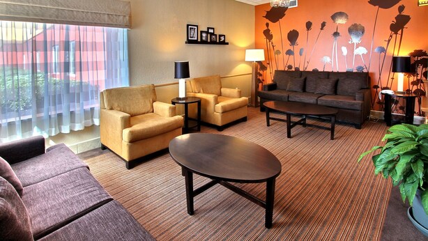 A hotel room with a sofa, armchairs, a coffee table, and a large window with sheer curtains. - Sleep Inn and Suites - Ocala / Belleview (Ocala)