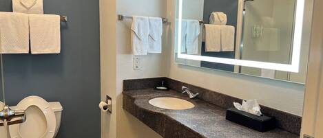 A bathroom with a toilet, sink, and mirror.