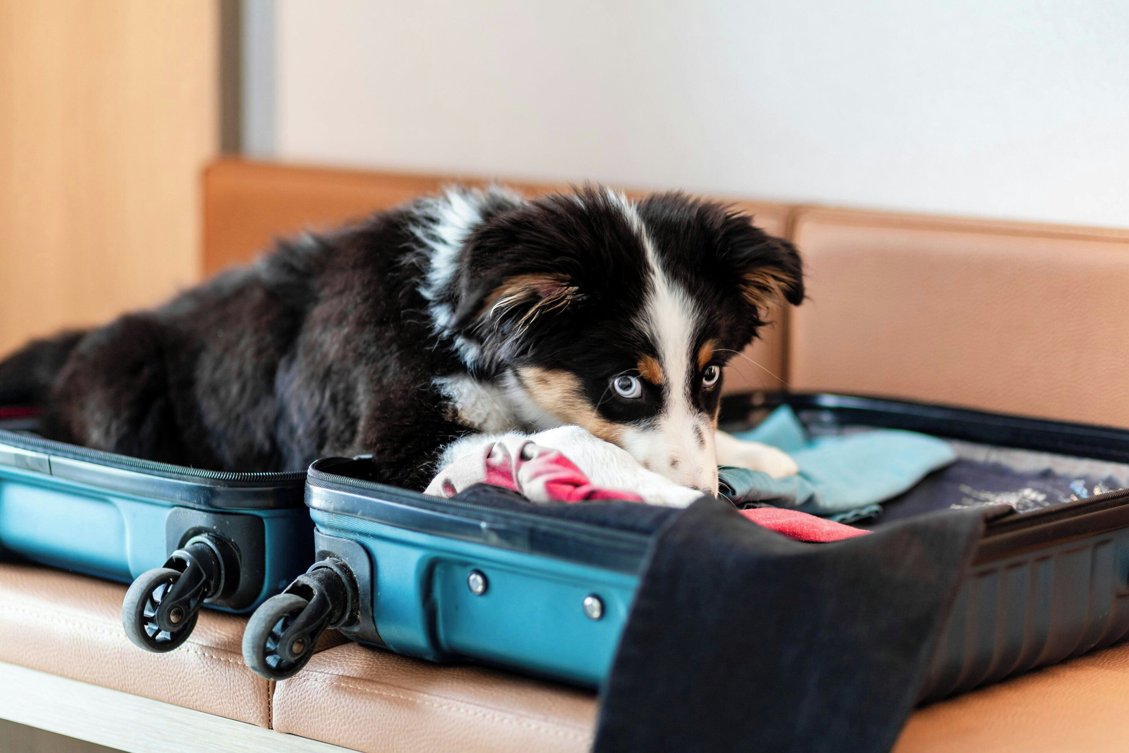 1 bedroom, premium bedding, pillow-top beds, in-room safe