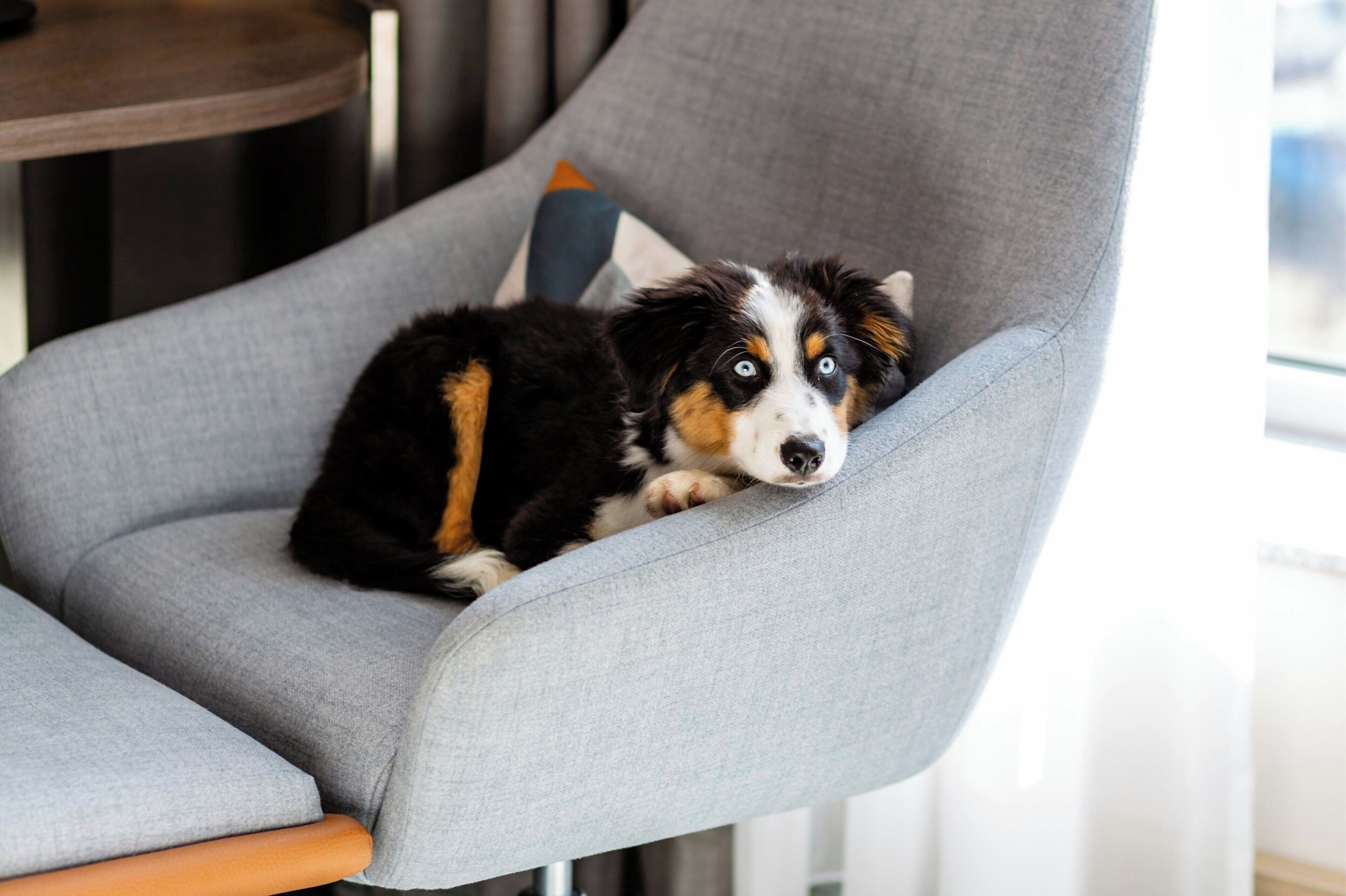 1 bedroom, premium bedding, pillow-top beds, in-room safe