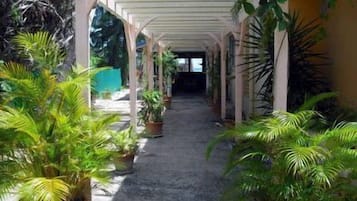 Property grounds