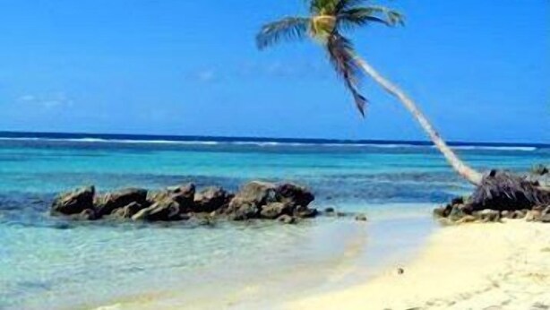 Beach/ocean view - Hotel le Diwali (Sainte-Anne)