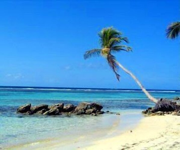 Vue sur la plage/l’océan