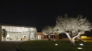 Un edificio moderno con amplios ventanales y un césped cuidado con un árbol destacado.