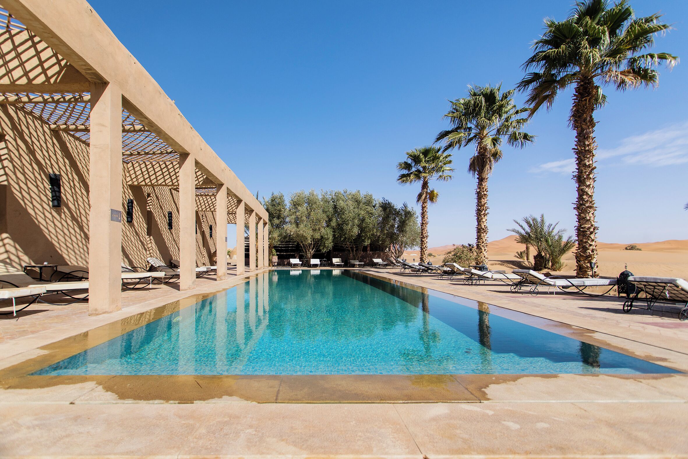 Un área de piscina con sillones de descanso y palmeras.