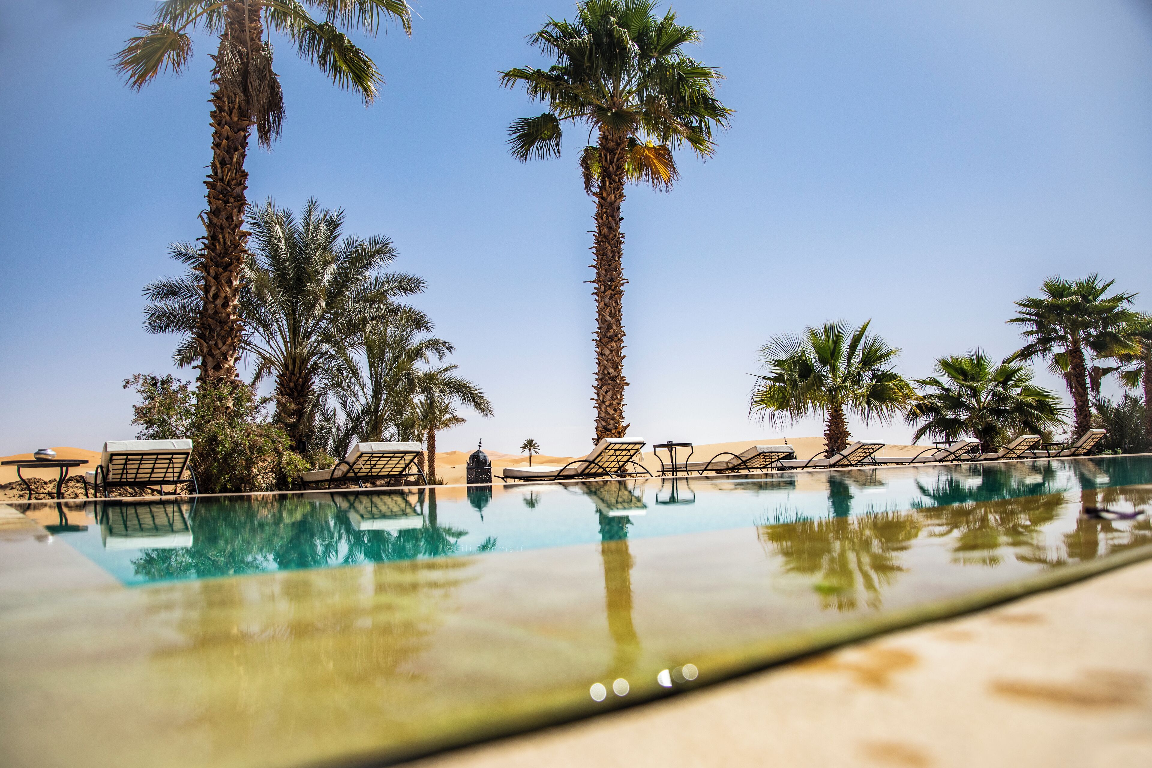 A poolside area with lounge chairs and palm trees.