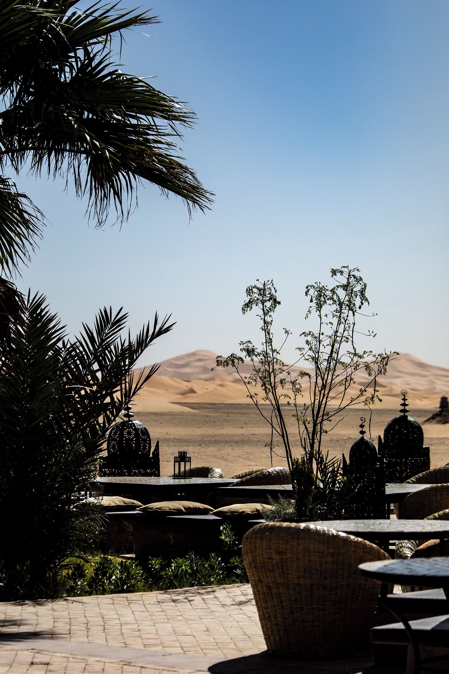 An outdoor seating area with wicker furniture, palm trees, and a view of sand dunes.