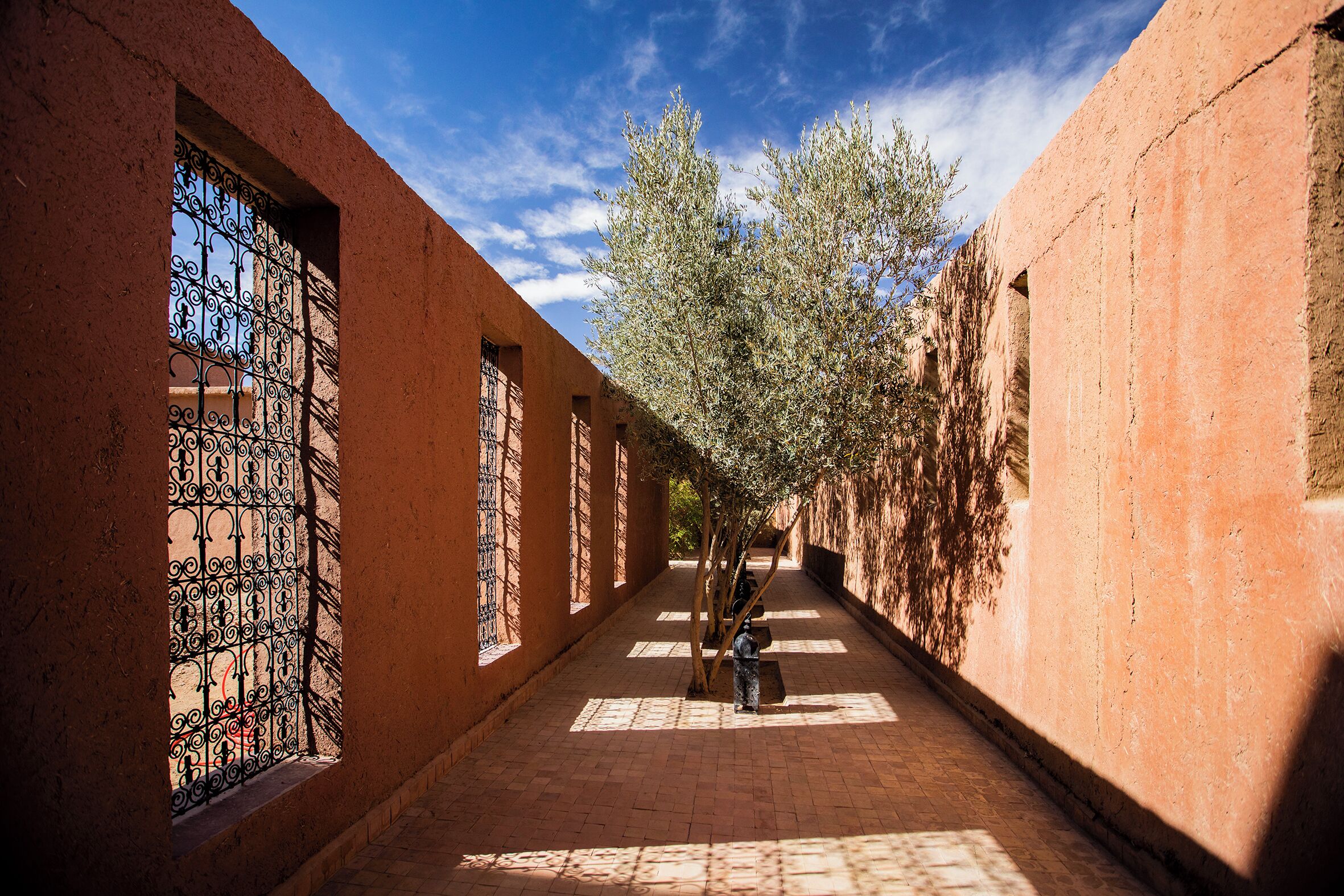 A corridor with brick walls, a metal gate, and a tree providing shade.