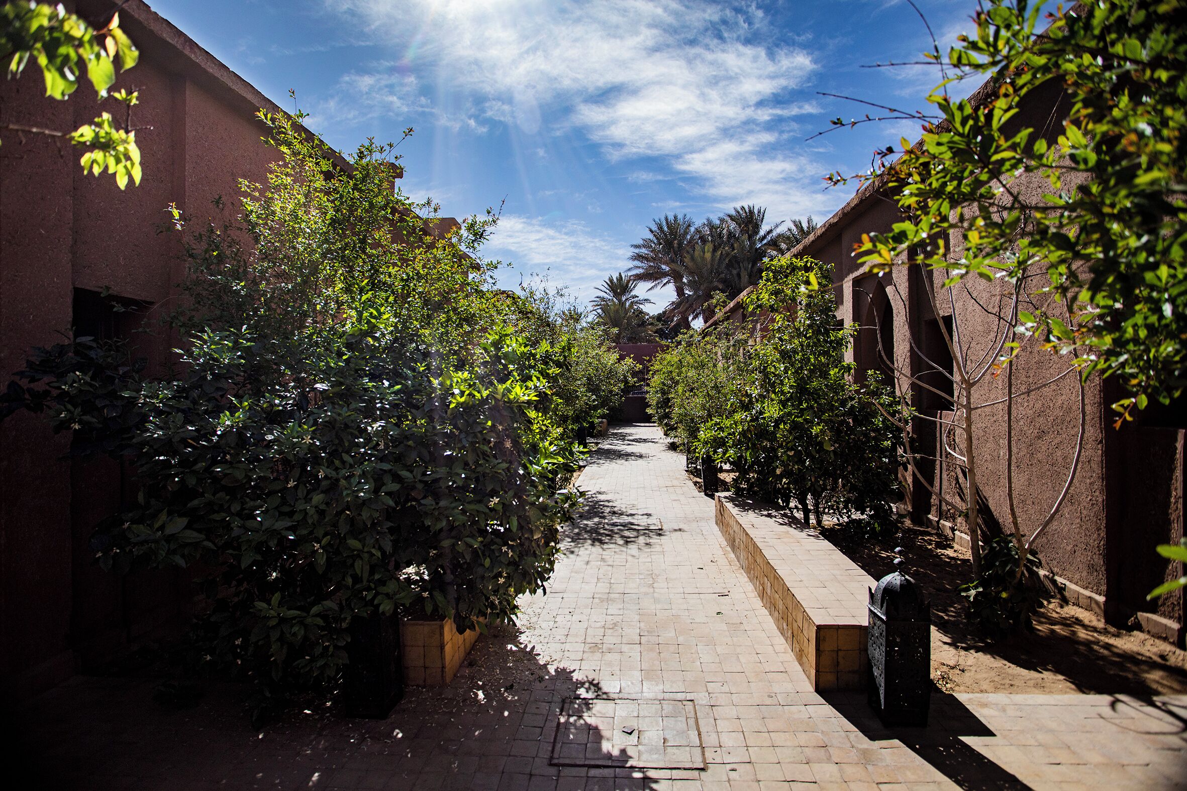 A narrow brick pathway flanked by dense foliage and buildings with arched windows.