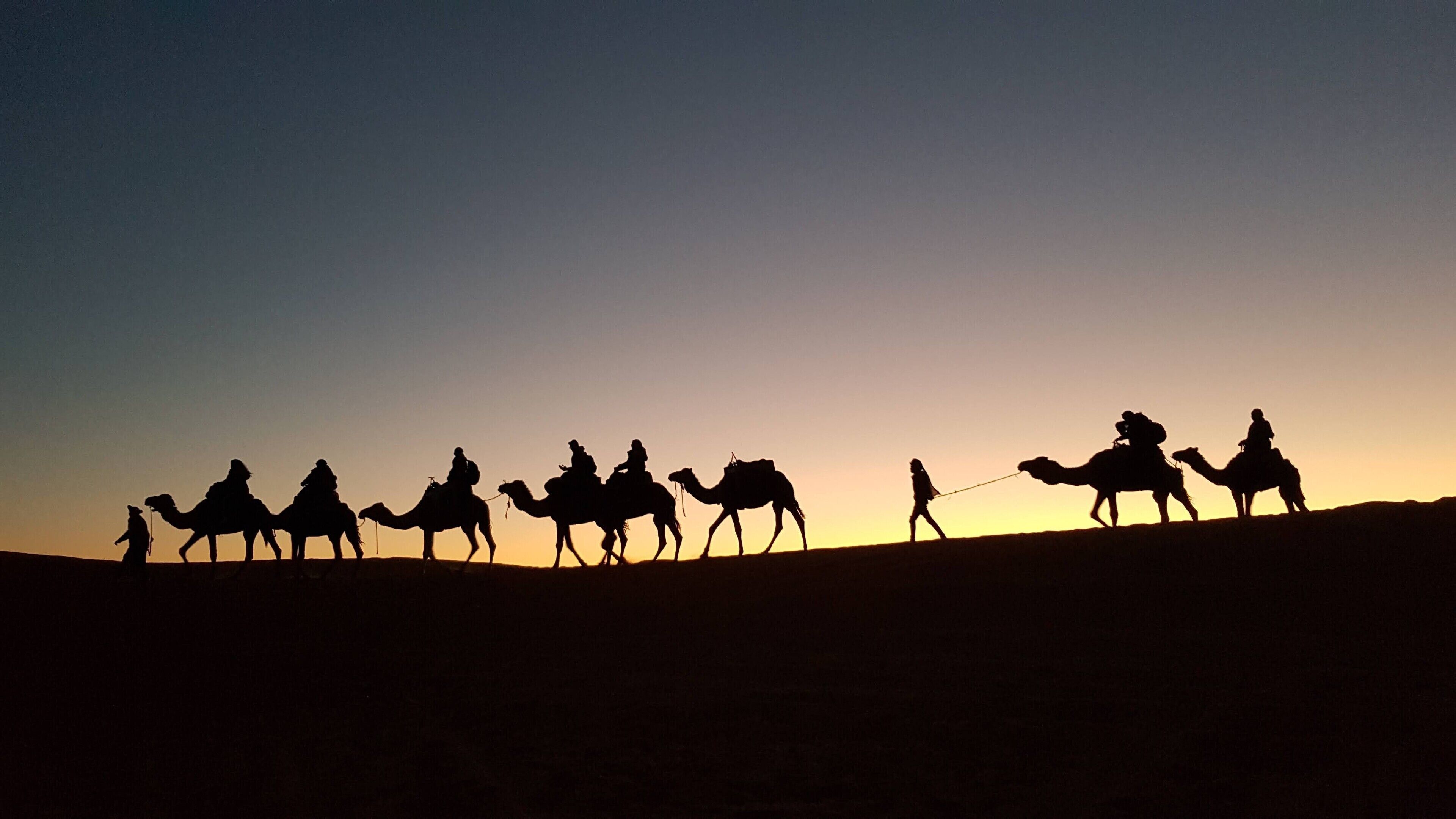 Siluetas de personas montando camellos frente a un cielo al atardecer.