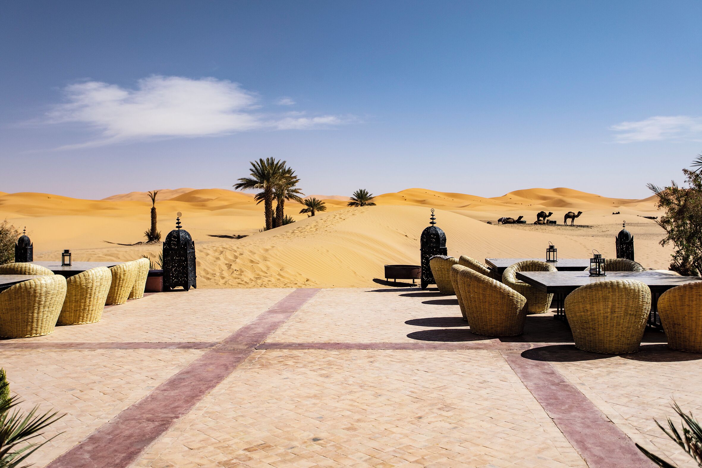 Paisaje desértico con un área de comedor que presenta mobiliario de mimbre y mesas, palmeras y dunas de arena al fondo.