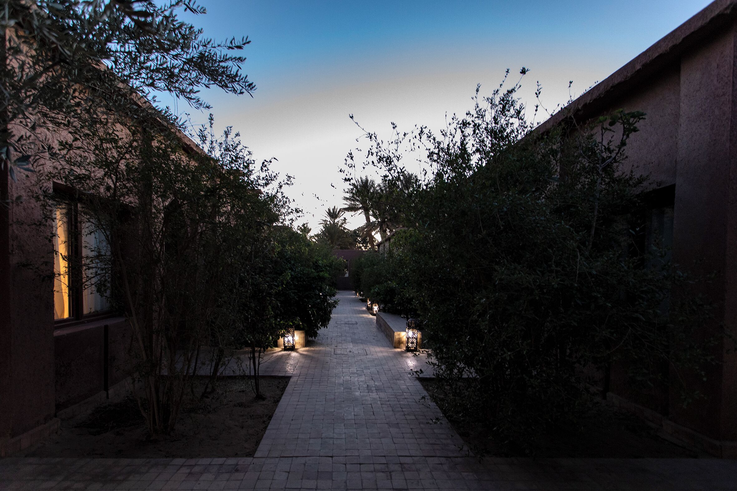 A pathway flanked by buildings and trees, leading to a distant structure.