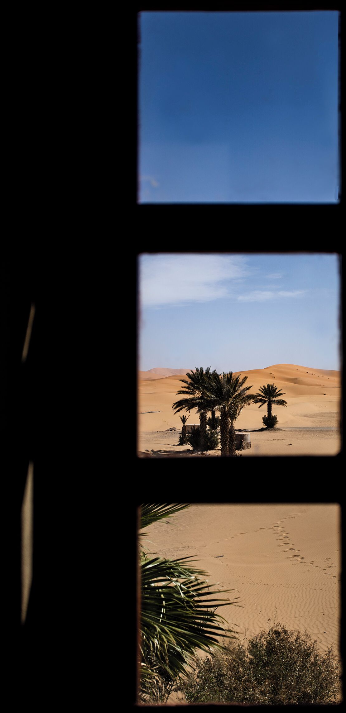 A desert landscape with palm trees and sand dunes through a window frame.