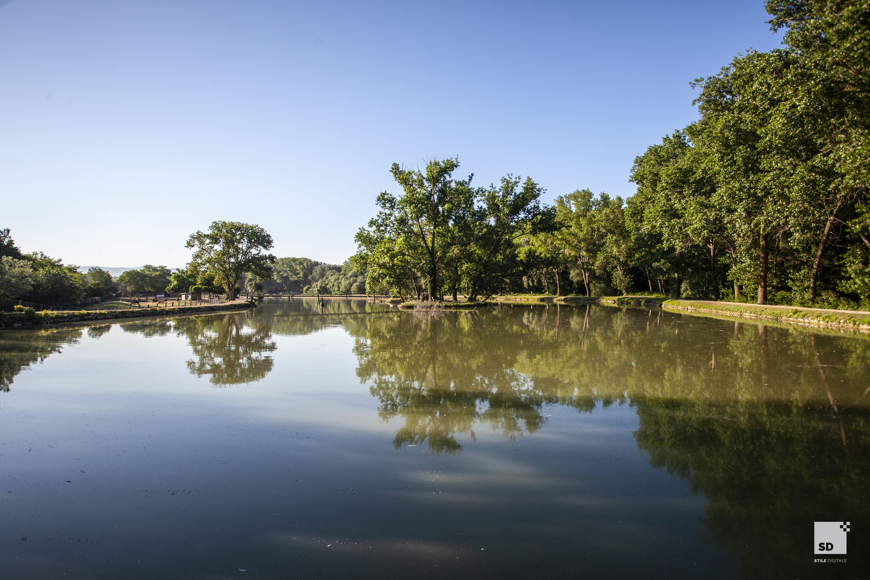 A calm lake with trees reflecting on the water, surrounded by a park area.