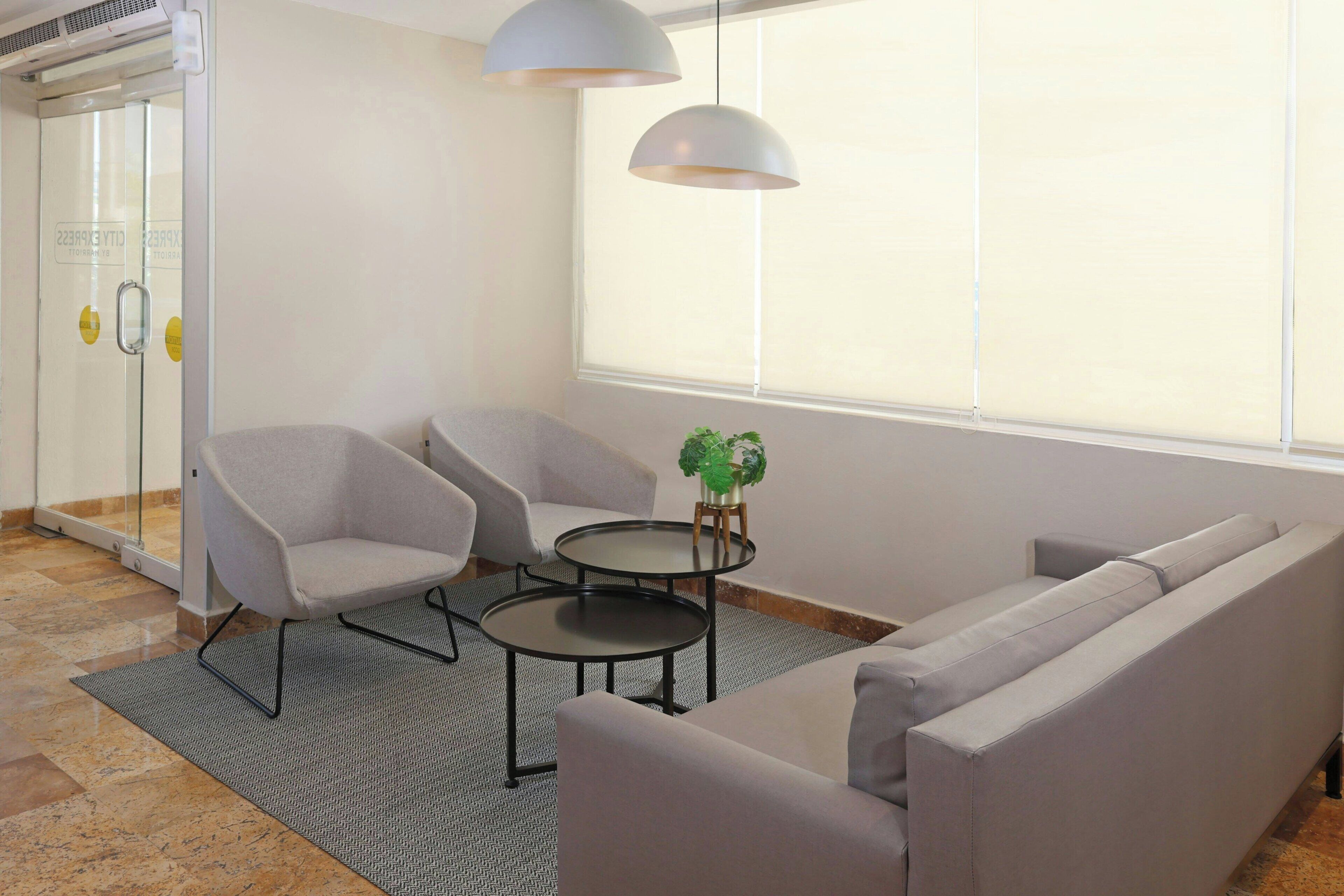 Une pièce moderne comprenant un canapé, deux fauteuils, une petite table ronde et une plante en pot.